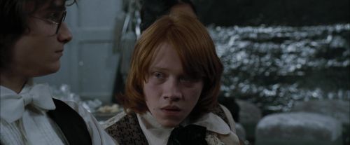 Click to view full size image
==============
CdF-Potterish_5155.jpg CdF-Potterish_5155.jpg
