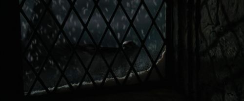 CdF-Potterish_5277.jpg