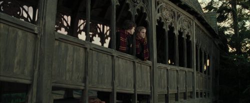 Click to view full size image
==============
CdF-Potterish_5370.jpg CdF-Potterish_5370.jpg