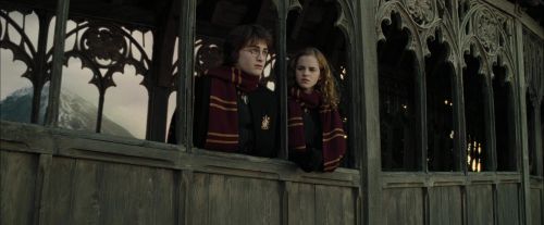CdF-Potterish_5378.jpg