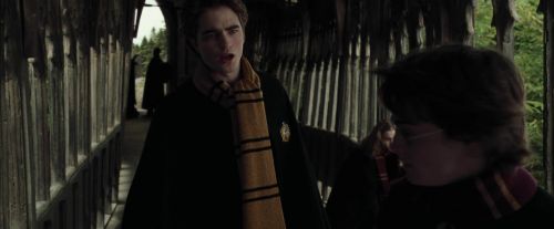 Click to view full size image
==============
CdF-Potterish_5438.jpg CdF-Potterish_5438.jpg