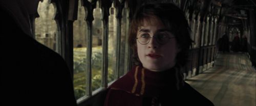 CdF-Potterish_5450.jpg