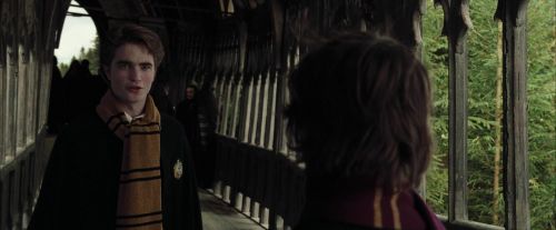 Click to view full size image
==============
CdF-Potterish_5470.jpg CdF-Potterish_5470.jpg