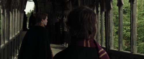 Click to view full size image
==============
CdF-Potterish_5474.jpg CdF-Potterish_5474.jpg
