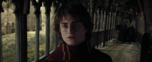 Click to view full size image
==============
CdF-Potterish_5476.jpg CdF-Potterish_5476.jpg