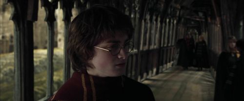 Click to view full size image
==============
CdF-Potterish_5478.jpg CdF-Potterish_5478.jpg