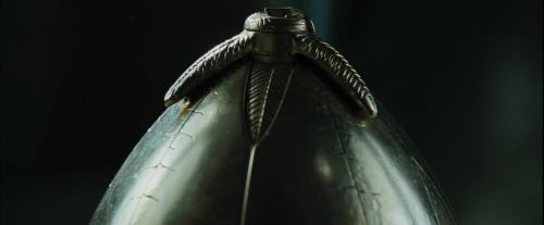 CdF-Potterish_5508.jpg