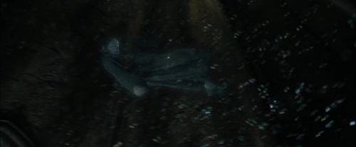 Click to view full size image
==============
CdF-Potterish_5547.jpg CdF-Potterish_5547.jpg