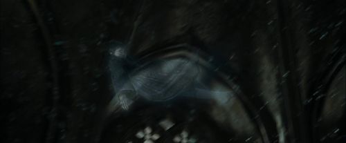 CdF-Potterish_5548.jpg