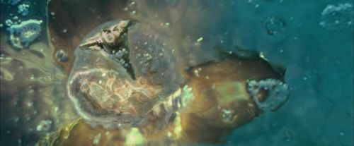 Click to view full size image
==============
CdF-Potterish_5590.jpg CdF-Potterish_5590.jpg