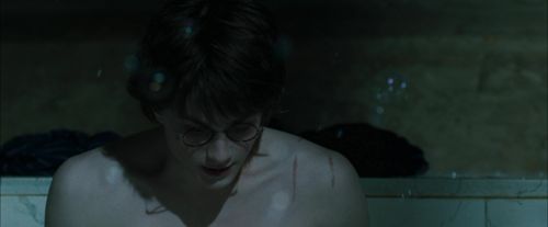 Click to view full size image
==============
CdF-Potterish_5593.jpg CdF-Potterish_5593.jpg