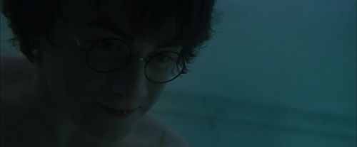 Click to view full size image
==============
CdF-Potterish_5606.jpg CdF-Potterish_5606.jpg