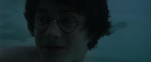 Click to view full size image
==============
CdF-Potterish_5608.jpg CdF-Potterish_5608.jpg