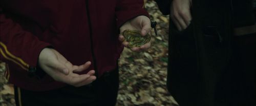 Click to view full size image
==============
CdF-Potterish_5787.jpg CdF-Potterish_5787.jpg