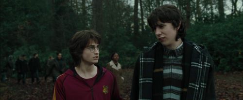 CdF-Potterish_5793.jpg