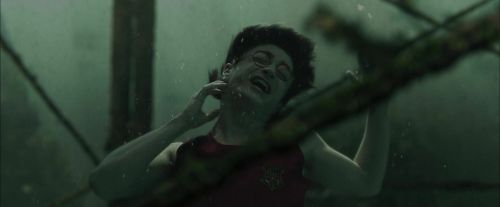 Click to view full size image
==============
CdF-Potterish_5866.jpg CdF-Potterish_5866.jpg