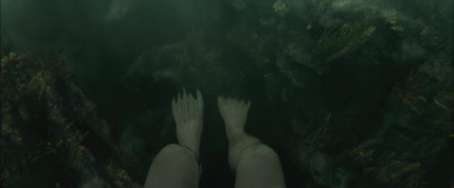 Click to view full size image
==============
CdF-Potterish_5871.jpg CdF-Potterish_5871.jpg