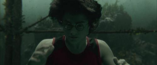 Click to view full size image
==============
CdF-Potterish_5874.jpg CdF-Potterish_5874.jpg