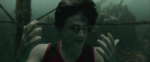 Click to view full size image
==============
CdF-Potterish_5876.jpg CdF-Potterish_5876.jpg