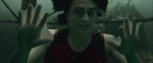 Click to view full size image
==============
CdF-Potterish_5878.jpg CdF-Potterish_5878.jpg