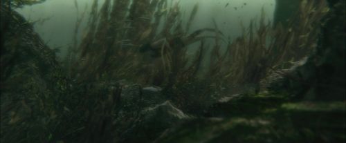 Click to view full size image
==============
CdF-Potterish_5897.jpg CdF-Potterish_5897.jpg