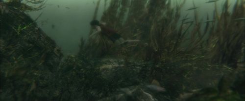 Click to view full size image
==============
CdF-Potterish_5898.jpg CdF-Potterish_5898.jpg