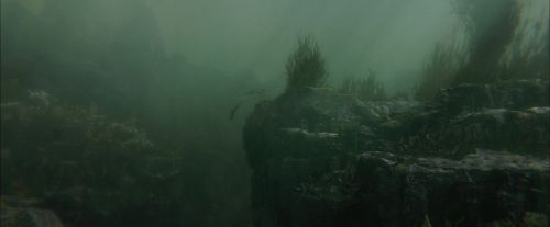 Click to view full size image
==============
CdF-Potterish_5906.jpg CdF-Potterish_5906.jpg
