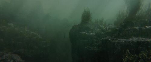 Click to view full size image
==============
CdF-Potterish_5907.jpg CdF-Potterish_5907.jpg