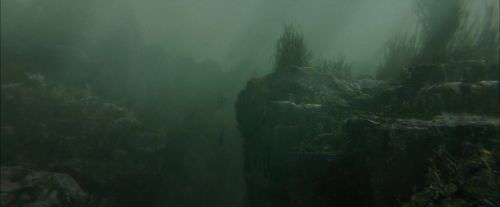 CdF-Potterish_5908.jpg