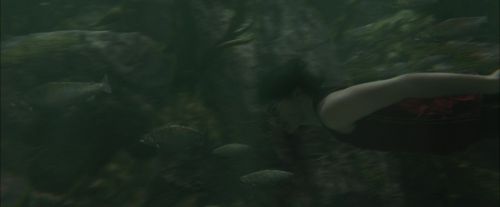 CdF-Potterish_5913.jpg