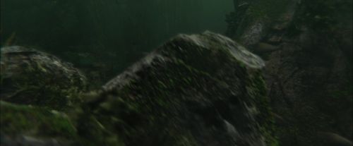 CdF-Potterish_5916.jpg