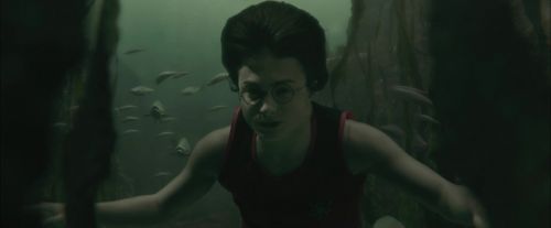 Click to view full size image
==============
CdF-Potterish_5927.jpg CdF-Potterish_5927.jpg