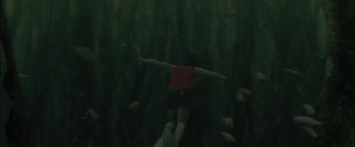 CdF-Potterish_5928.jpg