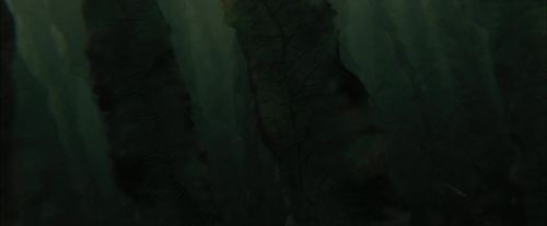 CdF-Potterish_5933.jpg
