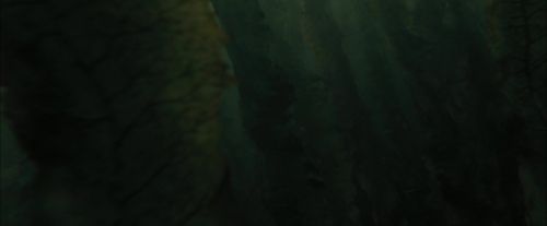 CdF-Potterish_5934.jpg