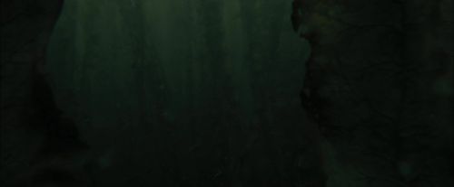Click to view full size image
==============
CdF-Potterish_5937.jpg CdF-Potterish_5937.jpg