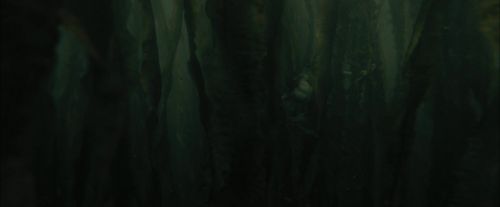 Click to view full size image
==============
CdF-Potterish_5943.jpg CdF-Potterish_5943.jpg