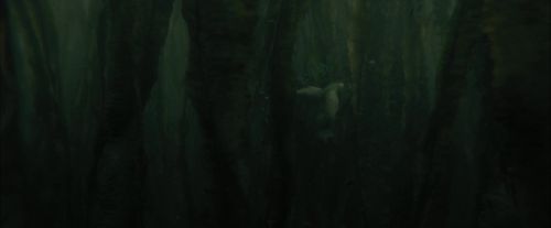 CdF-Potterish_5944.jpg