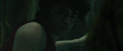 Click to view full size image
==============
CdF-Potterish_5945.jpg CdF-Potterish_5945.jpg