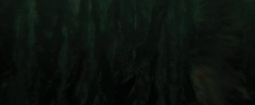 CdF-Potterish_5958.jpg