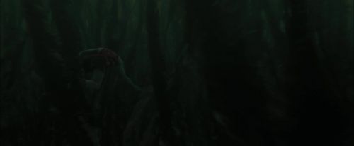 CdF-Potterish_5962.jpg