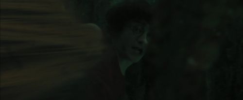 Click to view full size image
==============
CdF-Potterish_5963.jpg CdF-Potterish_5963.jpg