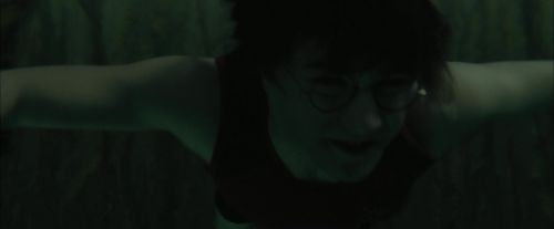 CdF-Potterish_5966.jpg