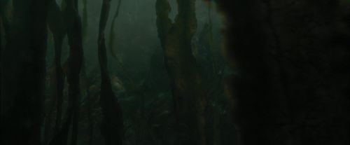 CdF-Potterish_5969.jpg