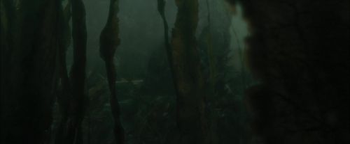 Click to view full size image
==============
CdF-Potterish_5970.jpg CdF-Potterish_5970.jpg