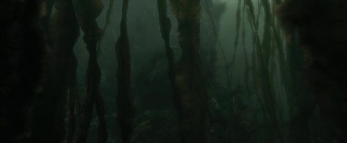 CdF-Potterish_5974.jpg