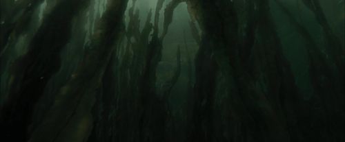 Click to view full size image
==============
CdF-Potterish_5992.jpg CdF-Potterish_5992.jpg