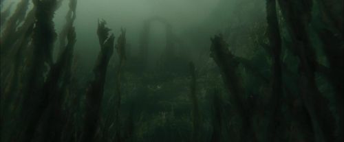 Click to view full size image
==============
CdF-Potterish_5995.jpg CdF-Potterish_5995.jpg