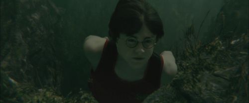 CdF-Potterish_6002.jpg