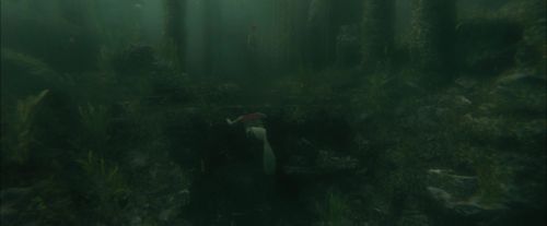 Click to view full size image
==============
CdF-Potterish_6006.jpg CdF-Potterish_6006.jpg